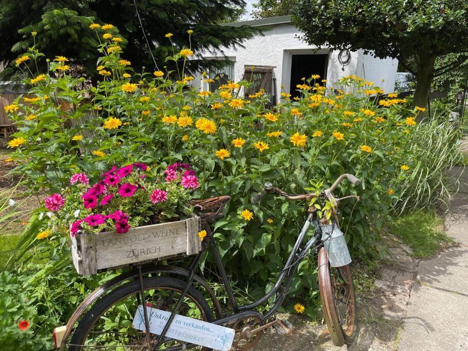 Tiny House Ostsee # Naturwerk Pruchten Eksteriør billede