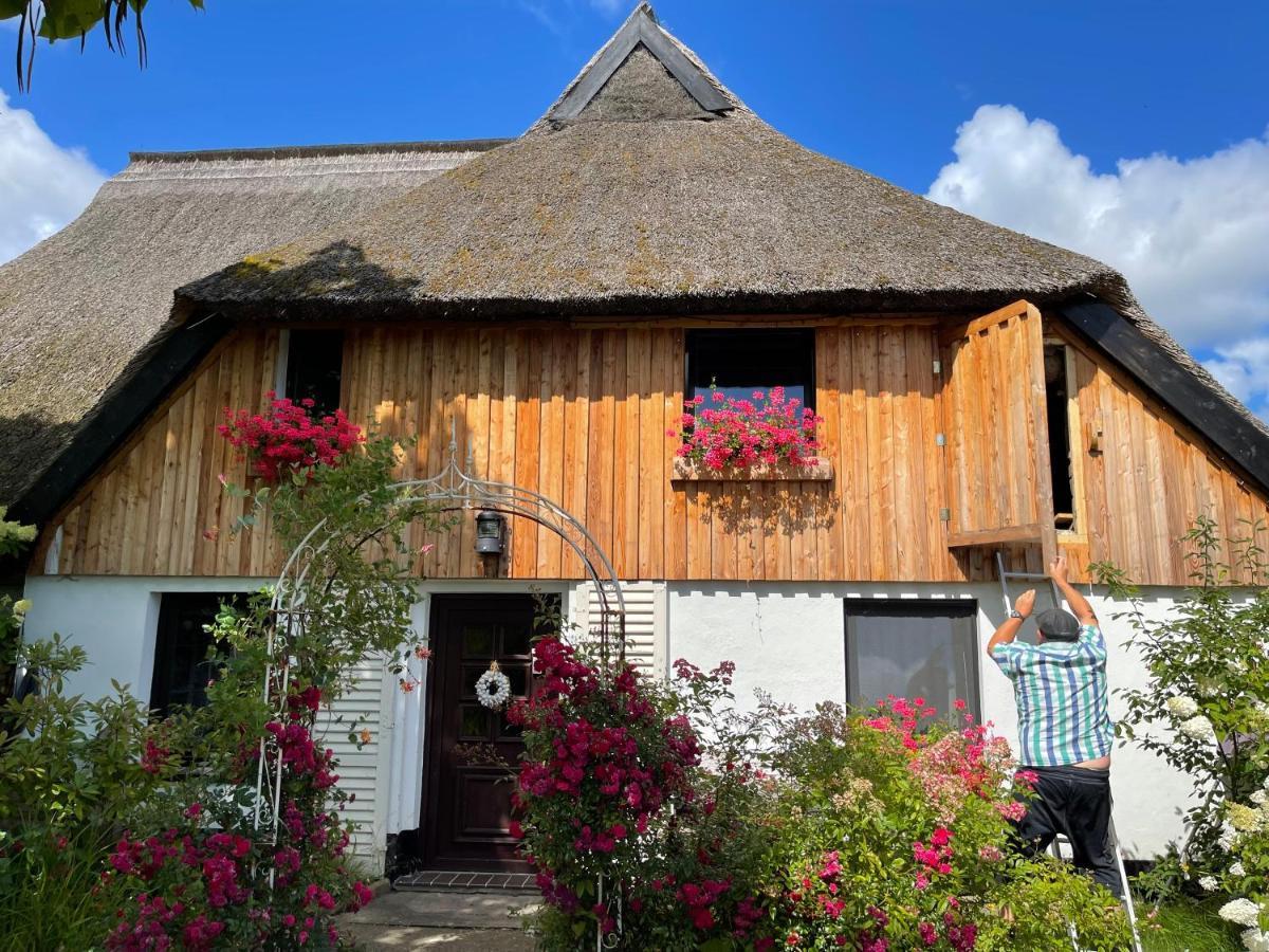 Tiny House Ostsee # Naturwerk Pruchten Eksteriør billede