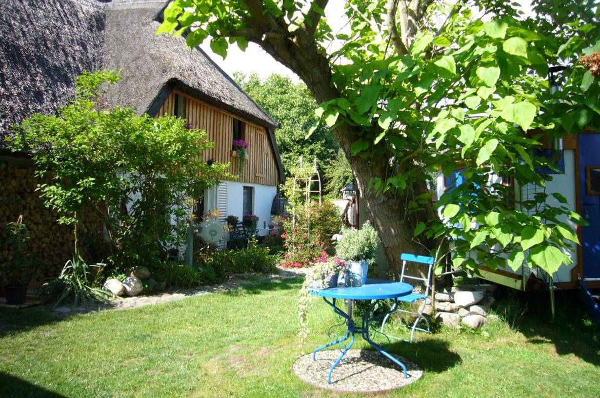Tiny House Ostsee # Naturwerk Pruchten Eksteriør billede