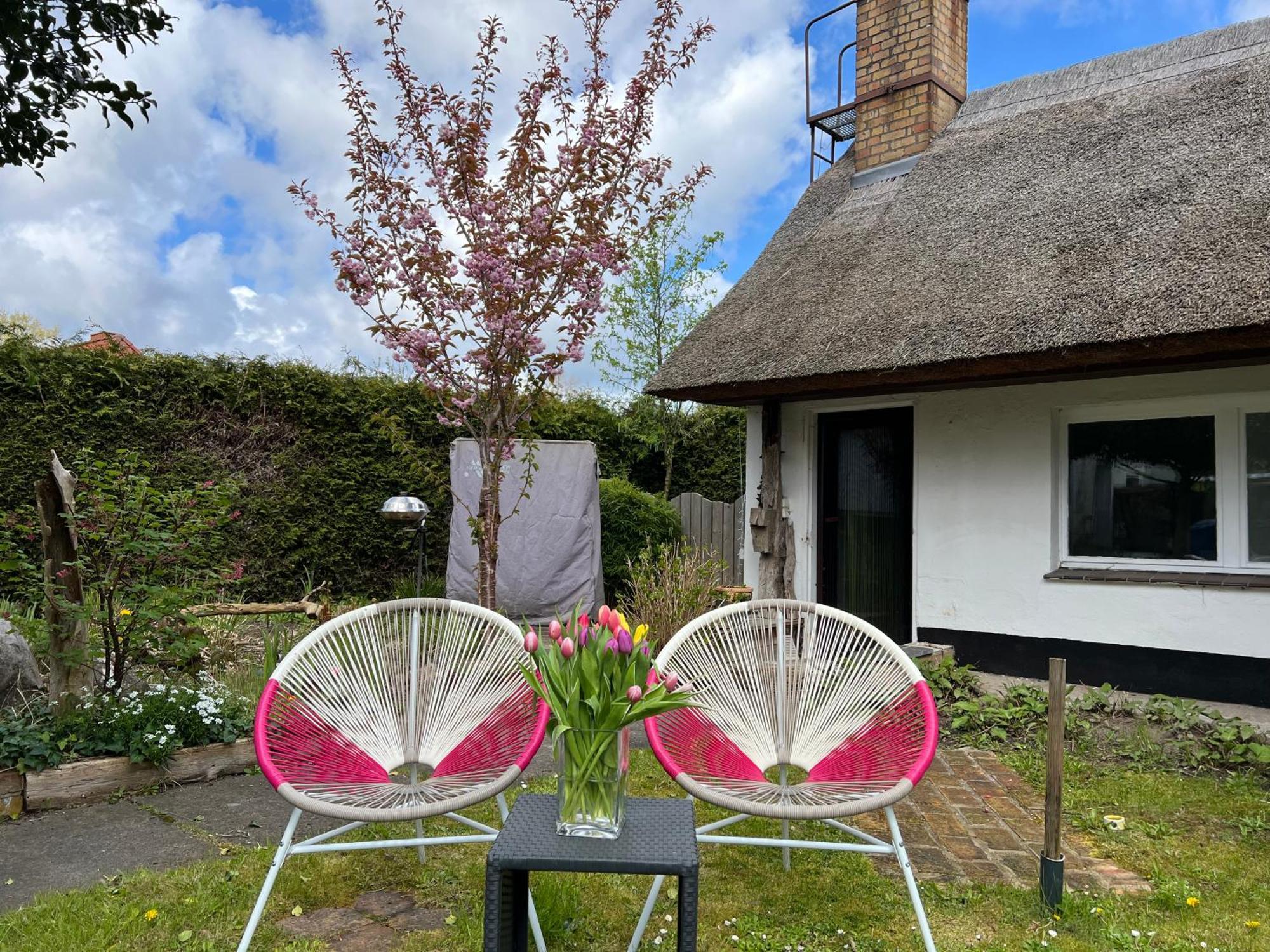 Tiny House Ostsee # Naturwerk Pruchten Eksteriør billede